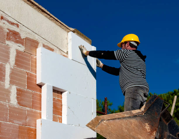 Best Insulation Inspection Services  in Woodfin, NC
