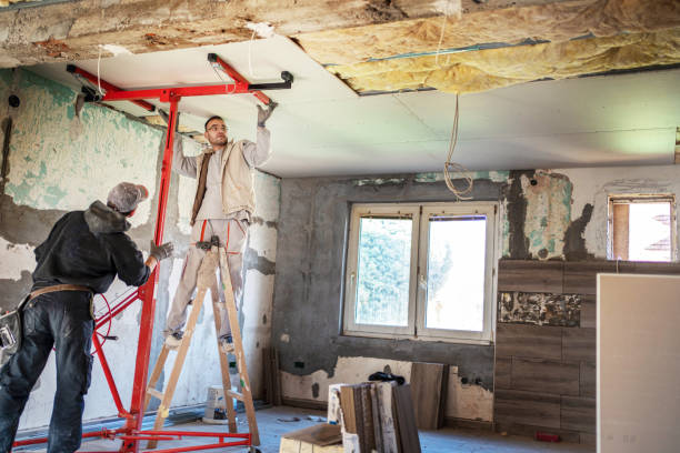 Best Commercial Insulation Contractor  in Woodfin, NC