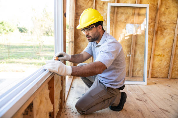 Best Insulation Removal  in Woodfin, NC