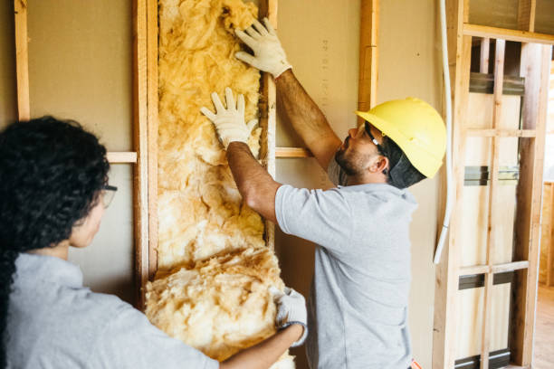 Best Wall Insulation Contractor  in Woodfin, NC