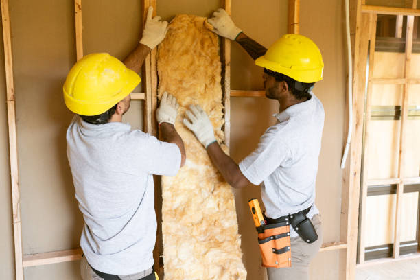 Insulation Repair Services in Woodfin, NC