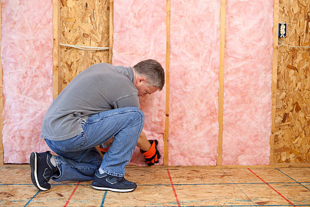 Best Home Insulation Services  in Woodfin, NC