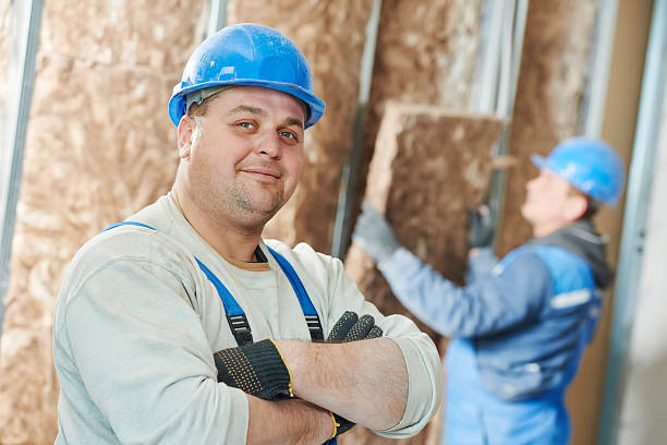 Best Insulation for New Construction  in Woodfin, NC