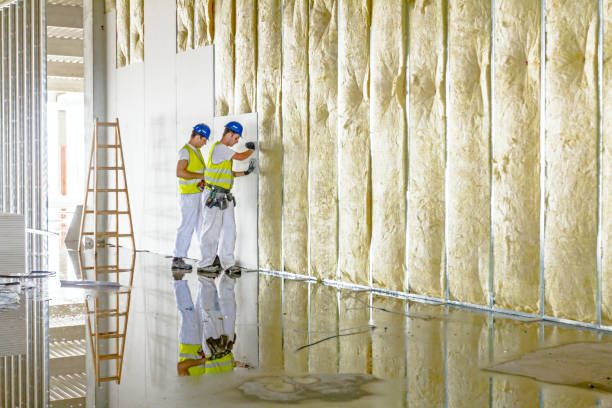 Best Insulation Installation Cost  in Woodfin, NC